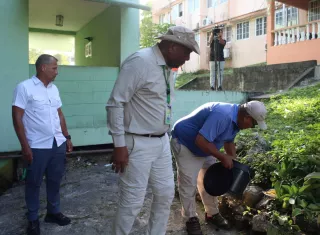 Las autoridades continúan con operativos de control de vectores y estrategias de promoción de la salud