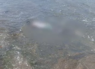 El cadáver fue visualizado flotando en el mar.  /  Foto: Diómedes Sánchez