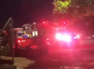 En lo que va del año 2026, las unidades bomberiles han atendido un total de 4,282 emergencias relacionadas con abejas africanizadas en todo el país, reflejando un incremento significativo de estos incidentes.