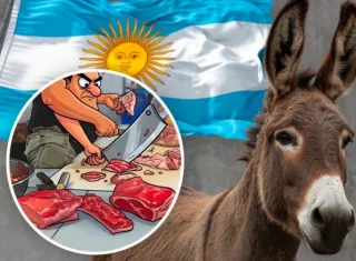 ¡Polémica por venta de carne de burro en Argentina! 
