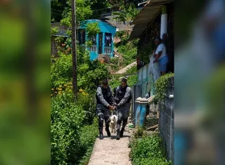 Indefenso perro criollo es baleado en sector 5 de Sinaí