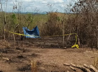 Quemó el herbazal y el fuego lo devoró