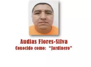 Cae “El Jardinero”, líder clave del Cártel Jalisco Nueva Generación