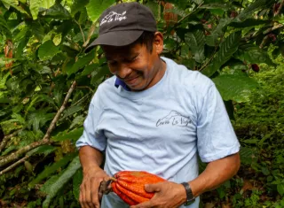 Cacao Cerro La Vieja logra primera certificación Bird Friendly en Panamá