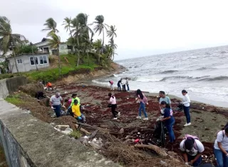 Esfuerzo comunitario rescata playa en Costa Abajo de Colón