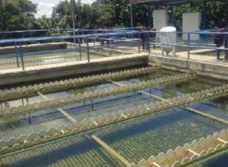 Cloro obliga a parar planta en Chilibre: servicio vuelve poco a poco