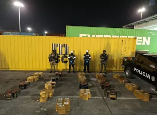 Narcotraficantes pierden enorme cargamento; descubrieron alijo en contenedor