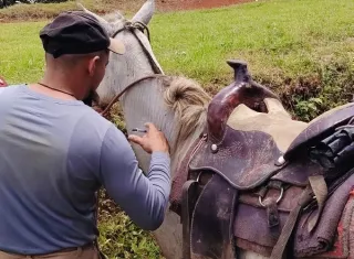 Unos 15 productores se sumaron a la iniciativa y vacunaron a sus rebaños de bovinos y equinos para reducir las pérdidas causadas por la rabia paralítica. Foto. Cortesía
