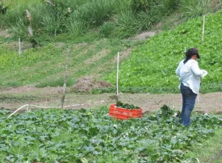 Las autoridades indicaron que estas acciones buscan minimizar afectaciones en la producción agrícola y pecuaria de la provincia.