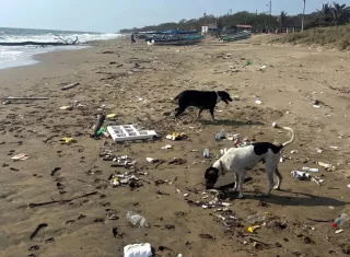 Playas santeñas afectadas por corrientes llenas de basura