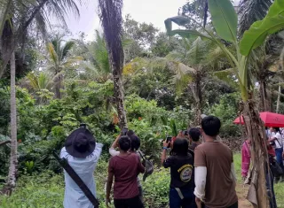 El paraíso escondido de aves está en la comarca Guna Yala
