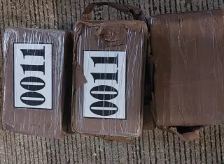 Sigue cayendo "pichi" en puertos de Colón