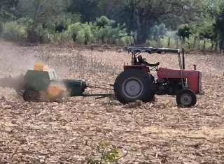 Ríos como el Guararé, Perales y Cacao presentan niveles muy bajos de agua, lo que limita la capacidad de los productores para enfrentar la prolongada temporada seca.