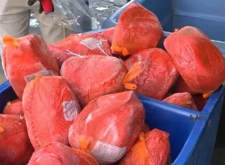 Más jamón picnic pa’ abastecer el mercado