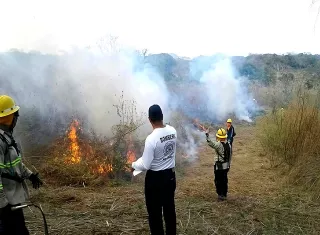 Las labores para sofocar estos incendios también representan un fuerte desgaste físico y operativo para el personal de emergencia.  /  Foto: Thays Domínguez