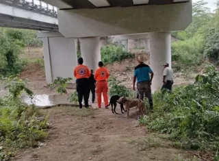 Bomberos y el Sinaproc colaboraron en la recuperación del cadáver.   /  Foto: Cortesía