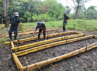 Entre las hortalizas con mayor demanda para el establecimiento de los huertos destacan tomate, pimentón, zapallo y pepino. Foto: Cortesía