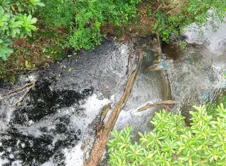 La entidad realizó mediciones de parámetros de calidad de agua y la toma de muestras en distintos puntos estratégicos. Foto: Cortesía