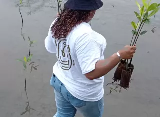 Con esta información se identificarán sitios potenciales para la implementación de proyectos pilotos de conservación y restauración durante el período 2026-2028.