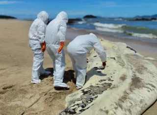 Como parte del protocolo, se tomaron muestras de tejido que serán analizadas para determinar las posibles causas de la muerte.