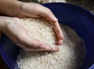 Expresa su respaldo a la decisión del Gobierno de importar arroz en cáscara. Foto: Cortesía