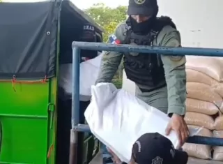 El narcocargamento estaba oculto entre los sacos de maíz.  /  Imagen: PN
