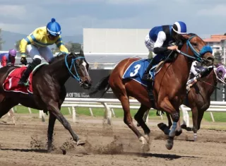 El ejemplar jaque Doble (adelante), con la monta de Luis Arango, será uno de los participantes en el Clásico Felipe E. Motta. 
