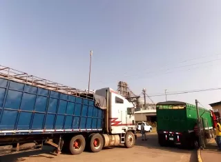 Pese a las complicaciones, los arroceros mantienen la expectativa de que durante las próximas semanas, con la llegada del fenómeno conocido como el “veranito de San Juan”, puedan registrarse condiciones climáticas favorables que permitan reactivar parte de la siembra. Foto. Thays Domínguez