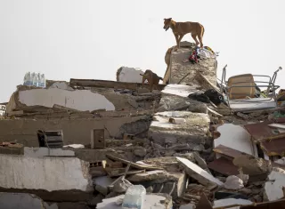 Detalle de un edificio derruido en Catia la Mar, Venezuela, mientras continúa la búsqueda entre los escombros de los edificios. EFE