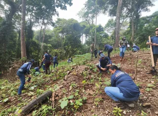 La jornada de reforestación abarcó una extensión de 0.8 hectáreas. Foto. Cortesía