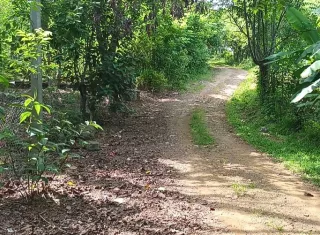 Las poblaciones rurales permanecen a la expectativa de una solución legal que permita restablecer el tránsito por una vía que, según los residentes, ha sido utilizada de forma continua por más de 90 años. Foto. Melquíades Vásquez