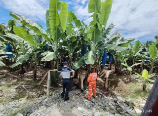 el cadáver fue ubicado dentro de un canal en una finca bananera.  /  Foto: Edwin Sánchez