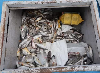 En total se decomisaron 20 sacos de colores dentro de los cuales estaban los paquetes de droga. /  Foto: Senan