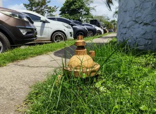 La provincia de Panamá Oeste mantiene un registro de 2,233 hidrantes, según datos del IDAAN. Foto. Eric Montenegro