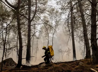 En total, en Francia este año ya ardieron unas 32.000 hectáreas, datos que hacen temer un año récord de incendios forestales, ya que las cifras superan ampliamente las de 2025 para las mismas fechas. Foto. EFE