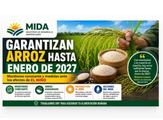 El Ministerio de Desarrollo Agropecuario (MIDA) informó que mantiene un monitoreo permanente de 35 rubros agrícolas para garantizar el abastecimiento de alimentos, sobre todo el arroz. 