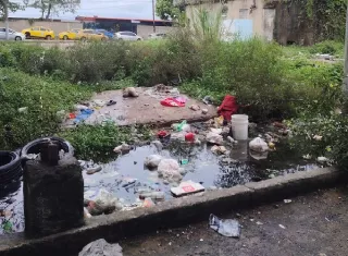 Abraham Alvarado, director regional del Ministerio de Salud (Minsa), dijo que la nebulización no representa la solución definitiva contra el dengue, sino la eliminación de criaderos.