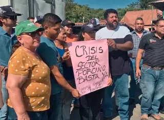 Los porcicultores advirtieron que, de no concretarse una solución a corto plazo, aumentarán las pérdidas económicas y podrían desaparecer numerosas explotaciones porcinas. Foto. Thays Domínguez