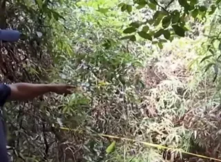 La víctima tenía 3 días de estar desaparecido.