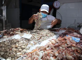 El rubro representó el 19 % de las exportaciones de bienes durante los primeros seis meses del año, según el informe de desempeño acumulado del comercio exterior.