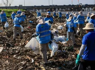 En la jornada participan la Alcaldía, los ministerios de Ambiente y Salud, la Autoridad de Aseo, ambientalistas, voluntarios y el Consorcio Río Verde.
