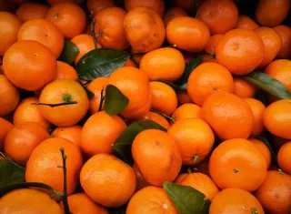 Según las autoridades del país suramericano, Panamá representa un mercado de "gran potencial" para la oferta agroalimentaria argentina. Foto: Pexels