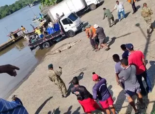 El reptil fue liberado.  / Imagen: RS