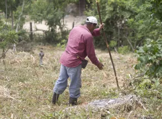 Las autoridades trabajan para lograr asistencia alimentaria, apoyo a los medios de vida agrícolas y ganaderos, fortalecimiento de los sistemas de agua, vigilancia y prevención de enfermedades, además de medidas de nutrición dirigidas a niños, mujeres embarazadas y lactantes.  Foto. EFE