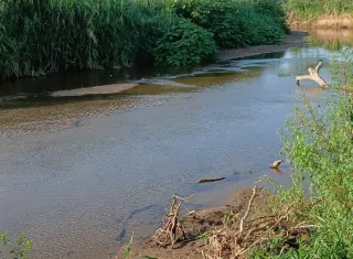 Ante esta amenaza al recurso hídrico, las organizaciones exigieron la realización de estudios independientes y una línea base de calidad del agua antes de tomar cualquier decisión.