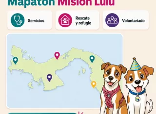 La idea es convertir información que muchas veces está regada entre redes sociales, contactos y recomendaciones en un mapa que permita saber qué existe y dónde está.