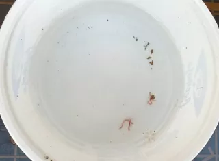 La residente Keny Arcia confirmó que el agua está saliendo contaminada con gusanos y denunció que en la comunidad ya se han registrado múltiples casos de diarrea, vómitos y alteraciones en la piel. Foto. Melquíades Vásquez
