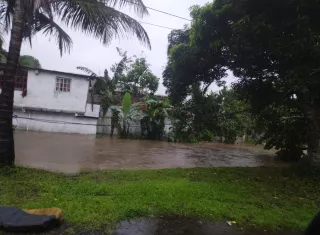 Las condiciones climáticas provocaron desprendimientos de techos, caída de árboles e inundaciones en distintos puntos de la provincia.