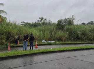 El cuerpo se encontró entre la vegetación, a pocos metros de la carretera.