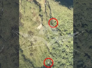 La Fuerza Aeroespacial Colombiana (FAC) aseguró que a la zona donde fueron hallados restos de la aeronave fue enviado "un equipo de rescatistas, de recuperación de personal", cuyos miembros "son expertos en búsqueda y rescate en combate". Foto. Fuerza Aeroespacial Colombiana